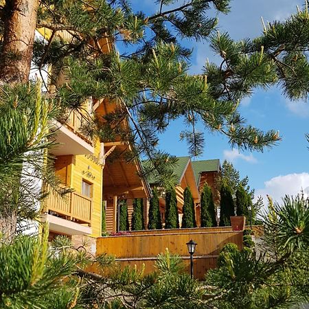 Villa Natural Wood Zlatibor Exteriér fotografie