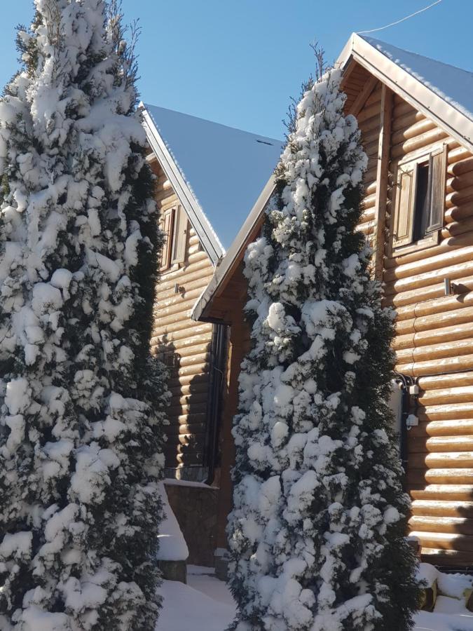 Villa Natural Wood Zlatibor Exteriér fotografie