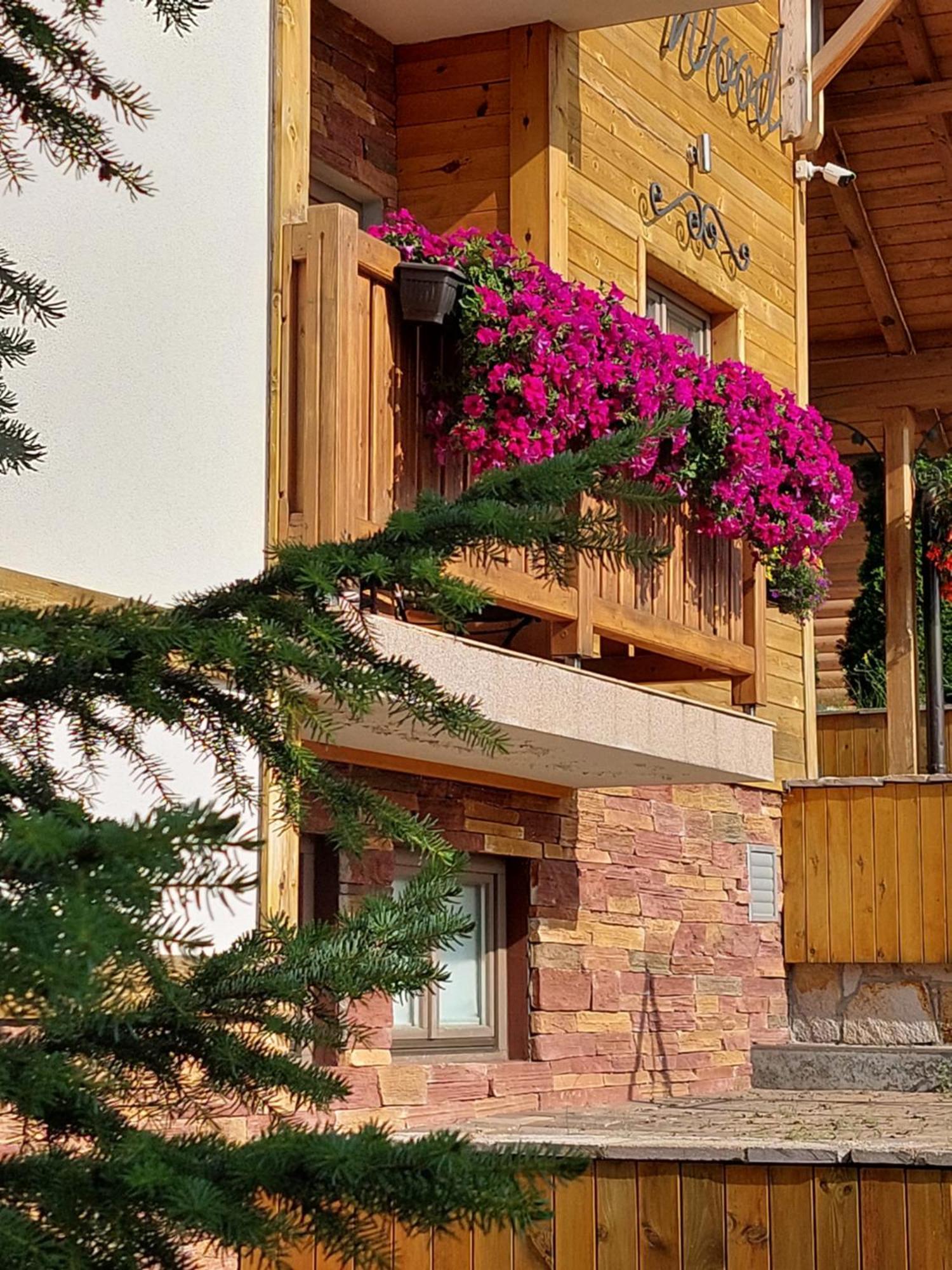 Villa Natural Wood Zlatibor Exteriér fotografie
