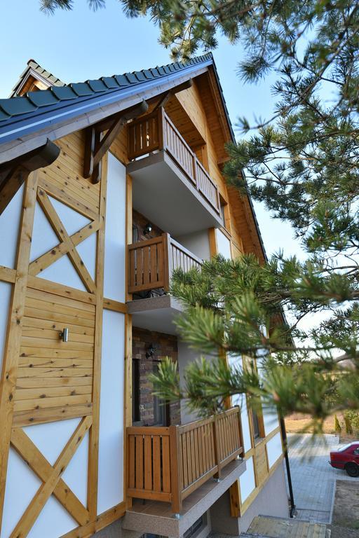 Villa Natural Wood Zlatibor Exteriér fotografie