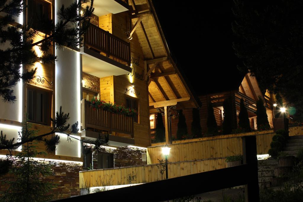 Villa Natural Wood Zlatibor Exteriér fotografie