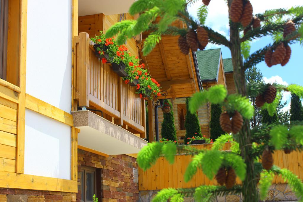 Villa Natural Wood Zlatibor Exteriér fotografie